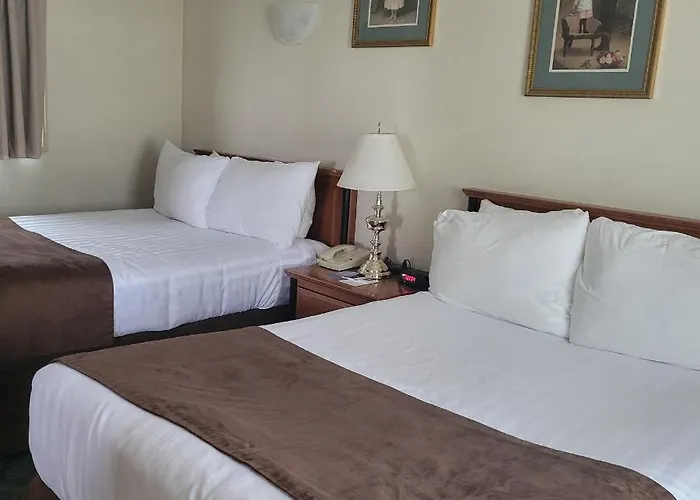 One-Bedroom Suite