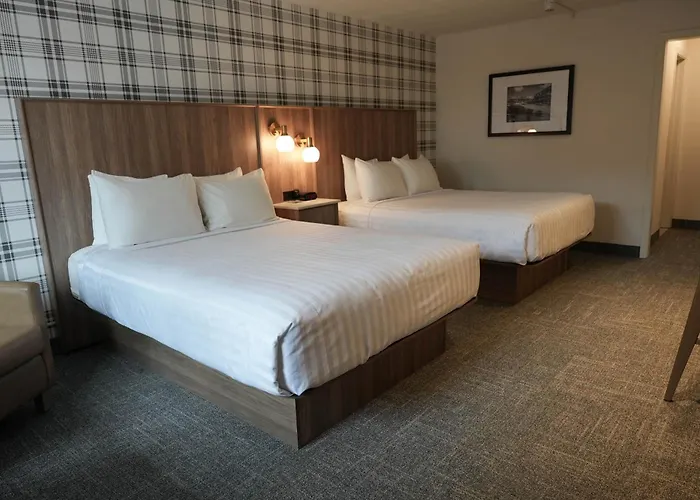 Premium Queen Room